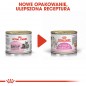 ROYAL CANIN  Mother & Babycat Instinctive Mousse karma mokra - mus dla kociąt i kotek karmiących