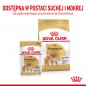 ROYAL CANIN Pomeranian Adult 3kg - karma sucha dla psów dorosłych rasy szpic miniaturowy