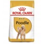 ROYAL CANIN Poodle Adult 1,5kg