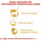 ROYAL CANIN Poodle Adult 1,5kg