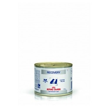 ROYAL CANIN Recovery Dog/Cat - puszka 195g