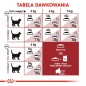 ROYAL CANIN Regular FIT 32