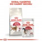 ROYAL CANIN Regular FIT 32