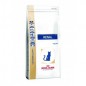 ROYAL CANIN Renal 2kg