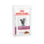 ROYAL CANIN Renal with Beef 85g NEW