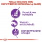 ROYAL CANIN  Sensible 33