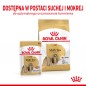 Royal canin Shih Tzu Adult Wet karma mokra – kawałki w sosie, dla dorosłych psów rasy shih tzu - 85g