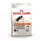 ROYAL CANIN Sporting L Life Agility 4100 15kg