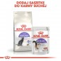 ROYAL CANIN Sterilised 10kg