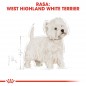 ROYAL CANIN West Highland White Terrier Adult 1,5kg