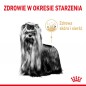 Royal Canin Yorkshire Terrier Adult 8+ karma sucha dla dojrzałych psów rasy yorkshire terrier, powyżej 8 roku życia - 0,5kg