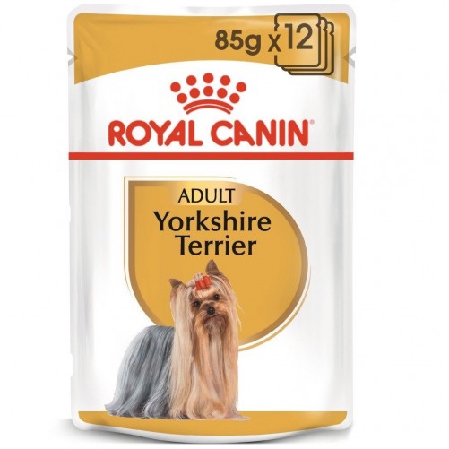 ROYAL CANIN Yorkshire Terrier Adult karma mokra - pasztet, dla psów dorosłych rasy yorkshire terrier