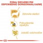 ROYAL CANIN Yorkshire Terrier Adult karma mokra - pasztet, dla psów dorosłych rasy yorkshire terrier