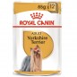 ROYAL CANIN Yorkshire Terrier Adult karma mokra - pasztet, dla psów dorosłych rasy yorkshire terrier