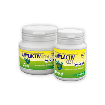 Vetfood Amylactiv Digest 30tab.