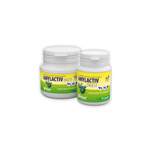 Vetfood Amylactiv Digest 30tab.