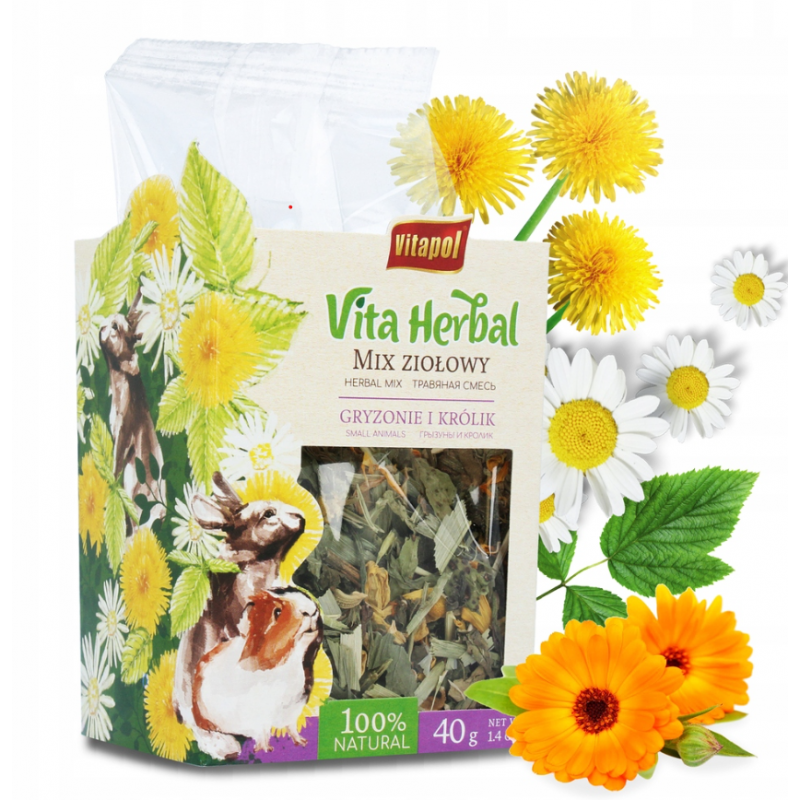 ZVP-4104 Vita herbal mix ziołowy 40g