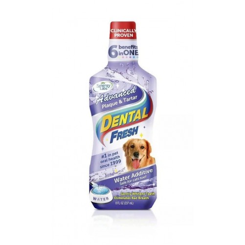 Dental Fresh Kamień i Osad 237ml