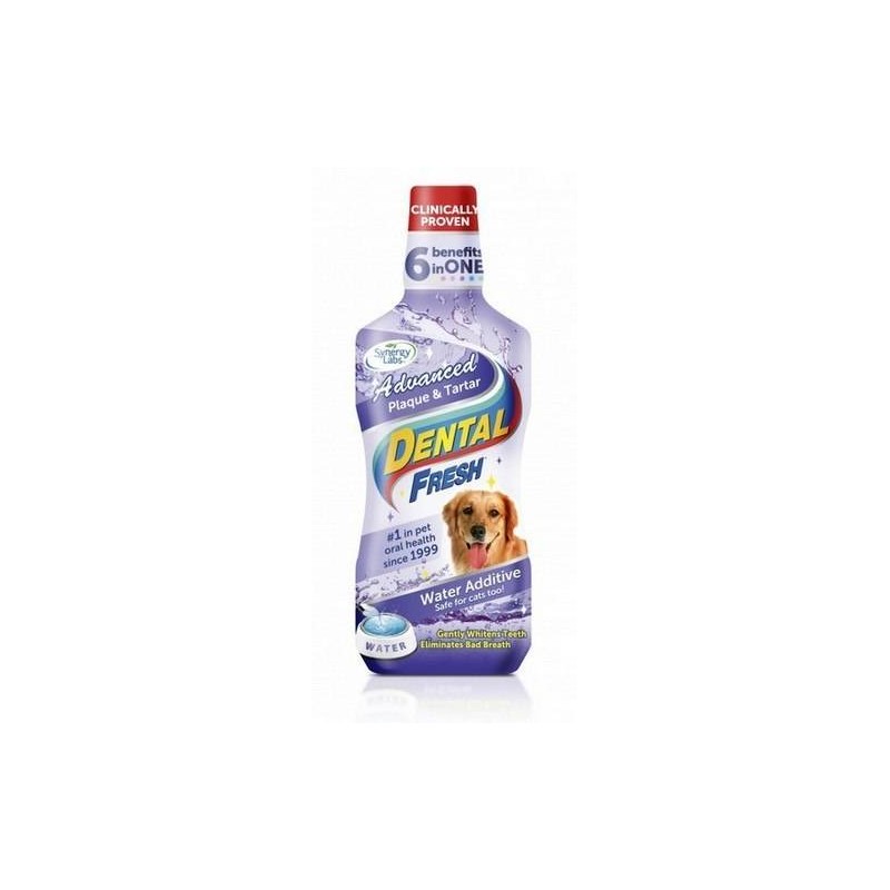 Dental Fresh Kamień i Osad 503ml