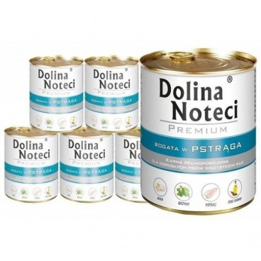 Dolina Noteci Premium bogata w pstrąga 18x800g