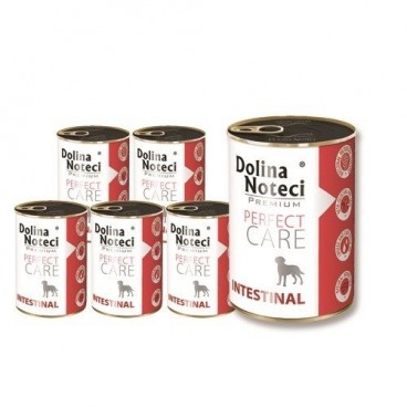 Dolina Noteci Premium Perfect Care Intestinal 12x400g