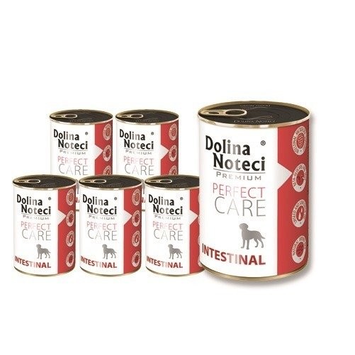 Dolina Noteci Premium Perfect Care Intestinal 12x400g