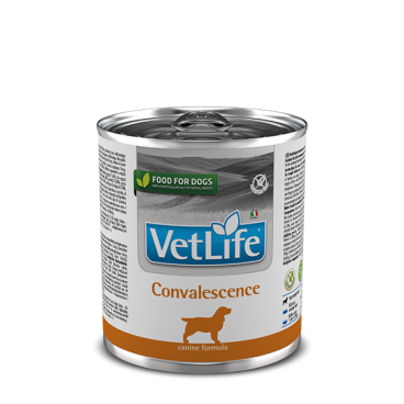 Farmina Vet Life Convalesence Dog 300g