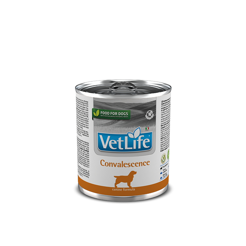 Farmina Vet Life Convalesence Dog 300g