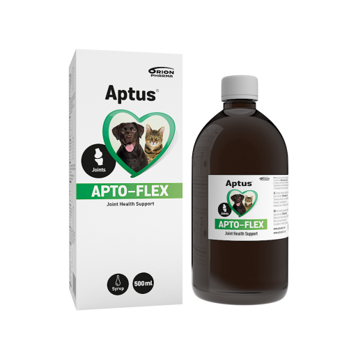 APTUS APTO-FLEX SYROP z żurawiną 500 ML