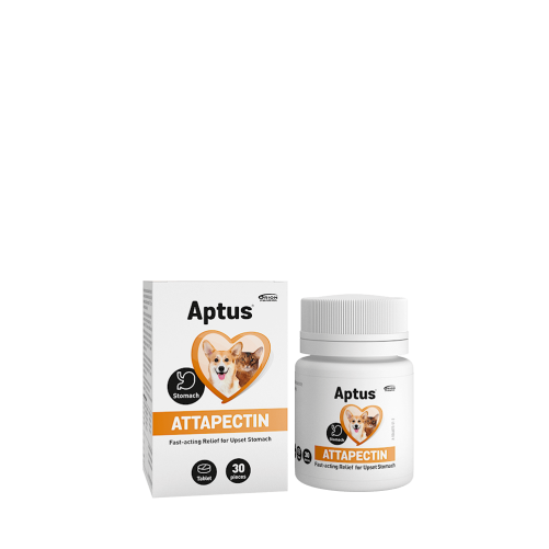 Aptus ATTAPECTIN 30tab.