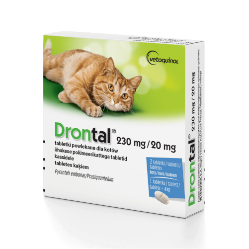 BAYER Drontal dla kota 2 tabl.